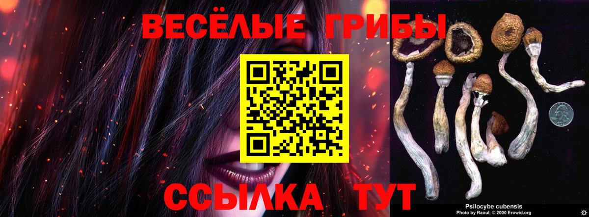 Псилоцибиновые грибы Cubensis  Галлюциногенные грибы Psilocybe  Оренбург  Вход с VPN 